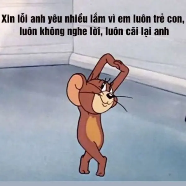 Meme xin lỗi gây cười