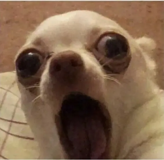 Meme bất ngờ khiến ai cũng ngạc nhiên