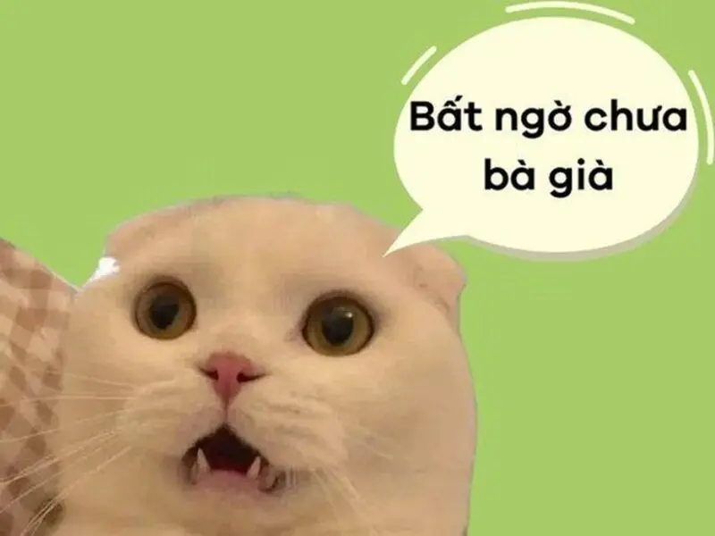 Meme bất ngờ với câu thoại vui nhộn