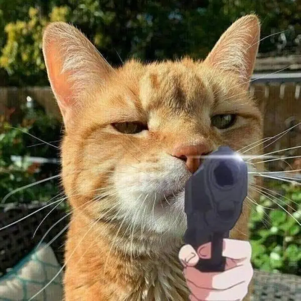Meme bất ngờ khiến mọi người bật cười