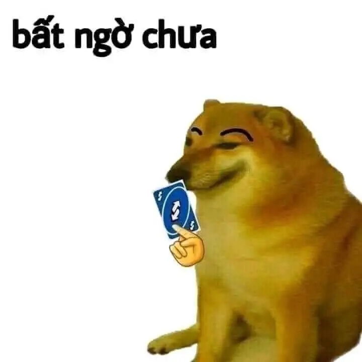 Meme bất ngờ làm ai cũng vui vẻ