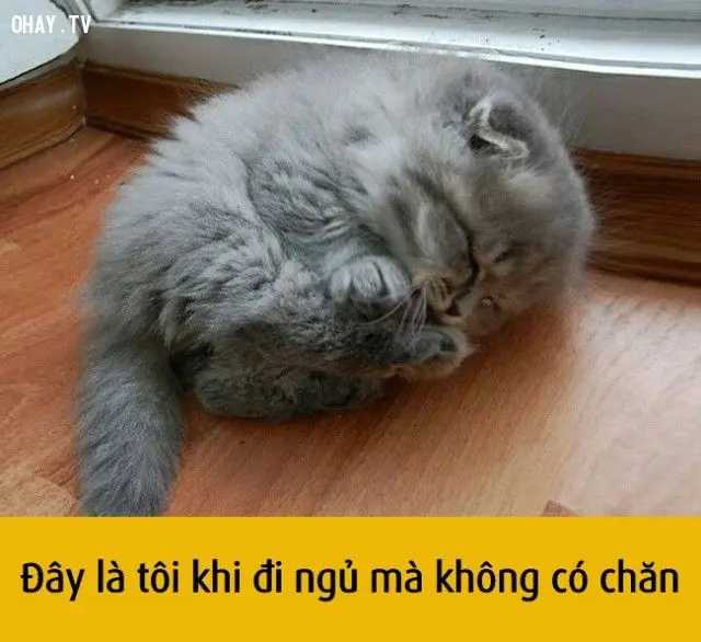 Meme suy nghĩ khiến ai cũng vui vẻ Meme suy nghĩ khiến ai cũng vui vẻ