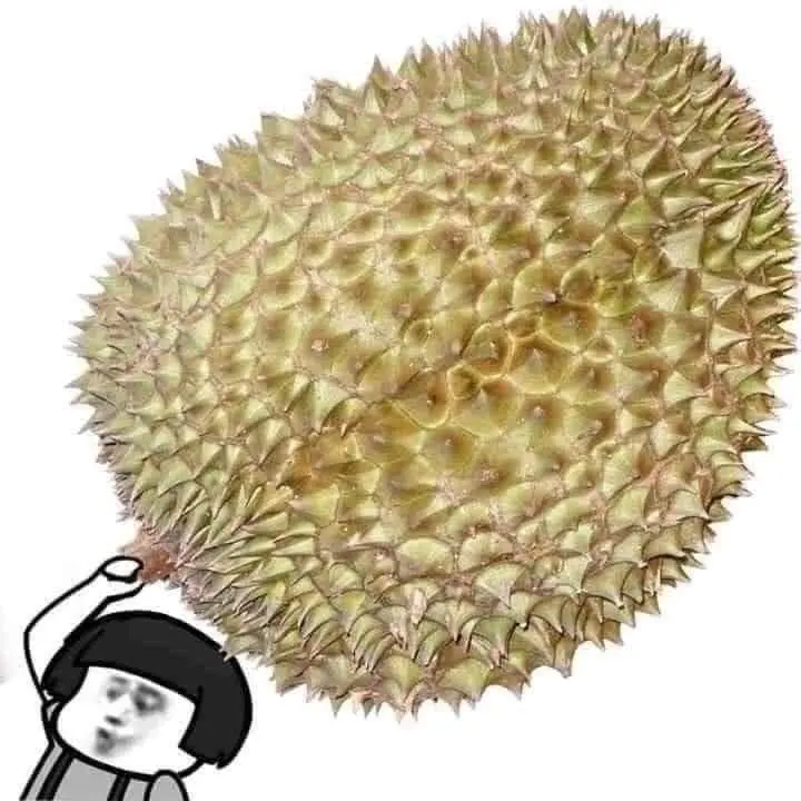 Meme Trung Quốc phản ánh văn hóa độc đáo