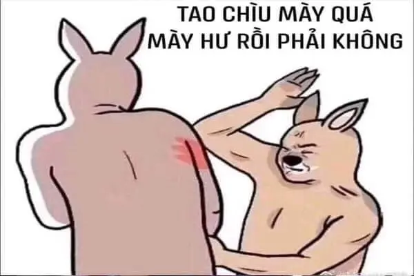 Meme vui cho những ai yêu thích sự hài hước