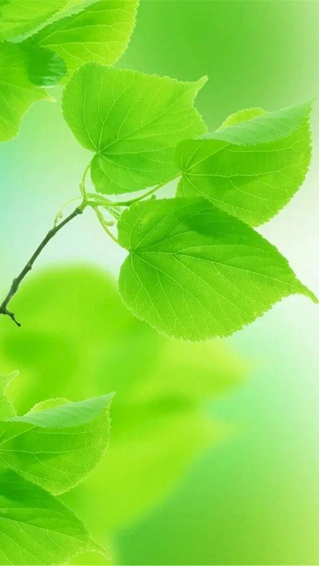 Hình nền xanh lá cây cho điện thoại gần gũi thiên nhiên Hình nền xanh lá cây cho điện thoại gần gũi thiên nhiên