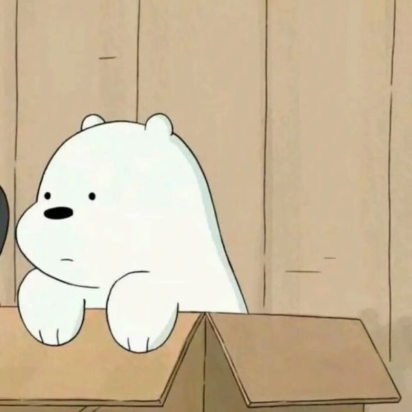 Sáng tạo với avatar gấu trắng hoạt hình cute