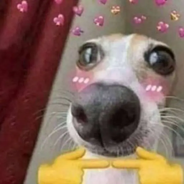 Meme ngại và cảm giác bối rối