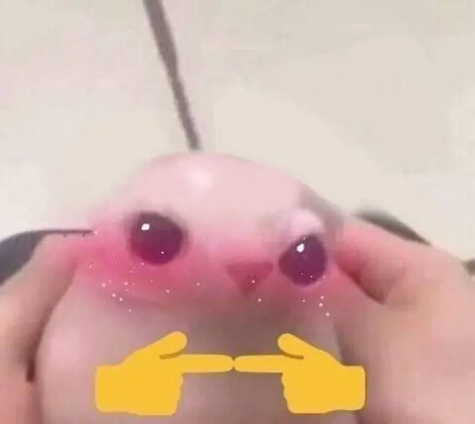 Meme ngại mang lại niềm vui cho mọi người