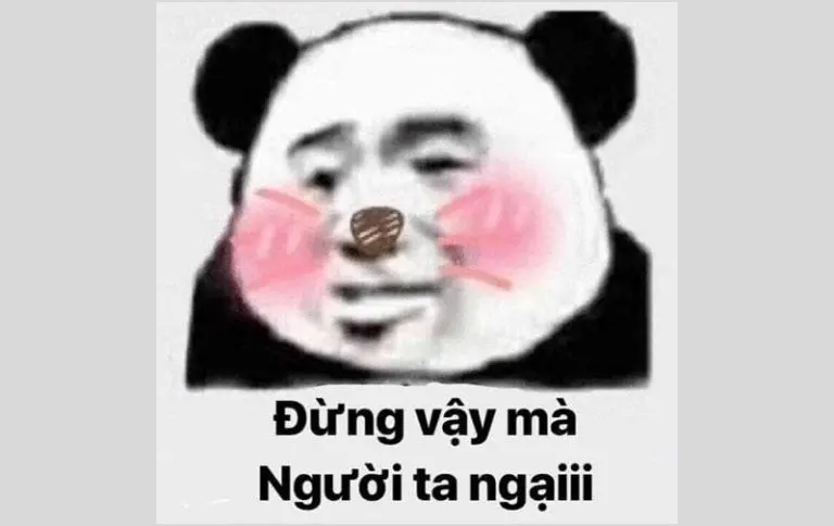 Meme ngại tạo không khí vui tươi