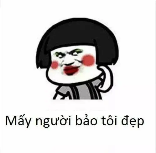 Meme ngại và khoảnh khắc hài hước