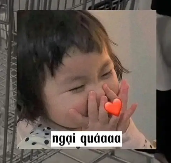 Meme ngại tạo niềm vui và tiếng cười