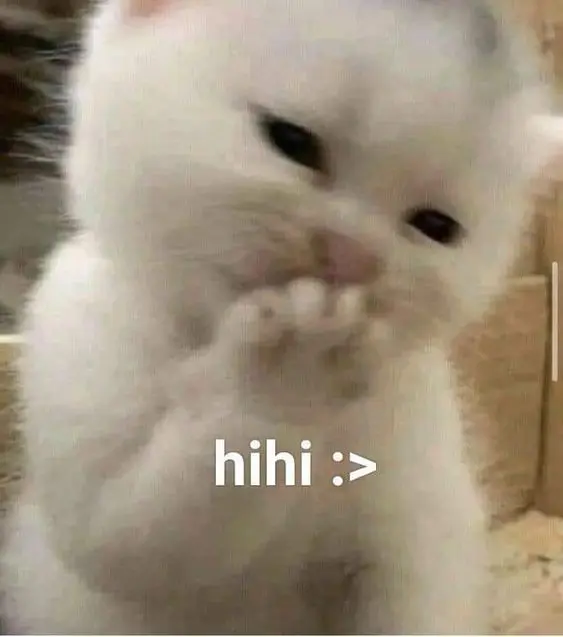 Meme ngại trong khoảnh khắc đáng yêu