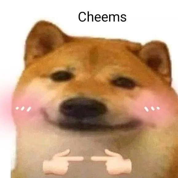 Meme ngại và sự e thẹn hài hước