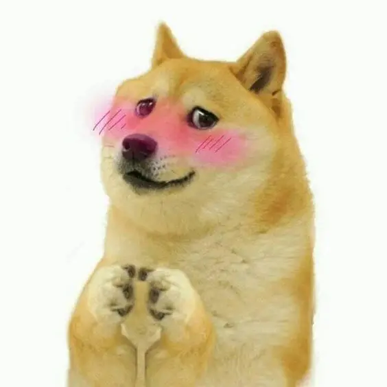 Meme ngại mang lại tiếng cười sảng khoái