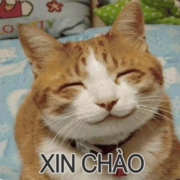 Meme chào với biểu cảm thân thiện