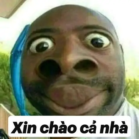 Meme chào với biểu cảm hài hước