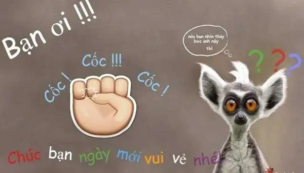 Meme cốc cốc cốc xin chào