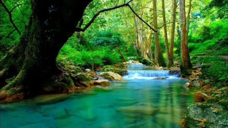 Sông nước mênh mông giữa phong cảnh hùng vĩ của núi rừng.