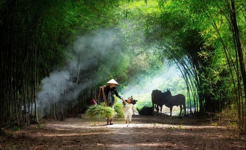 Vẻ đẹp thanh bình của làng quê Việt Nam trong nắng sớm mai. Vẻ đẹp thanh bình của làng quê Việt Nam trong nắng sớm mai.