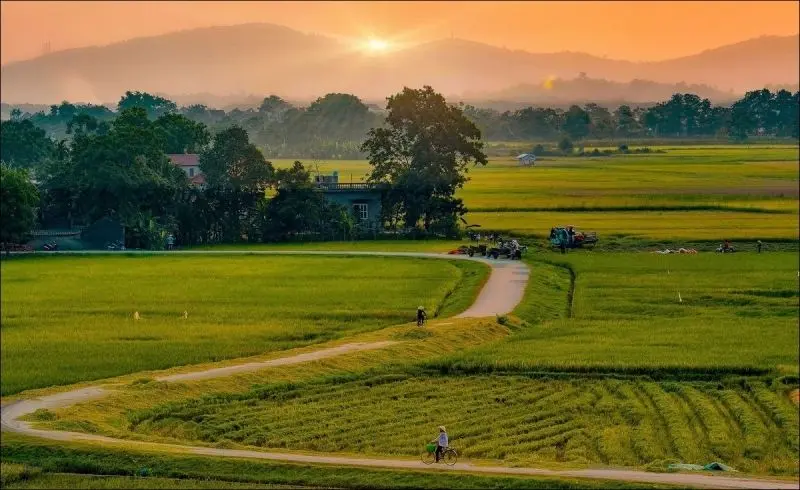 Phong cảnh làng quê Việt Nam thanh bình, giản dị mà đẹp vô cùng. Phong cảnh làng quê Việt Nam thanh bình, giản dị mà đẹp vô cùng.