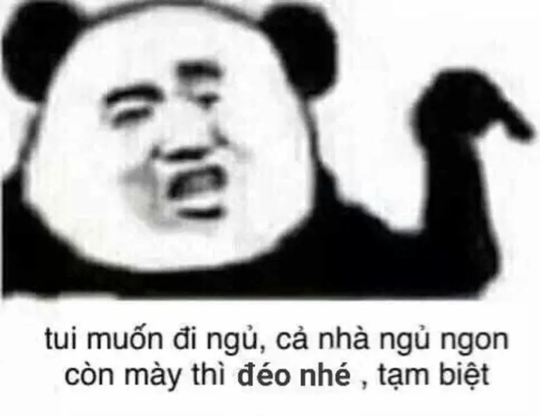 Meme ngủ ngon là một lời chúc vui vẻ và đáng yêu