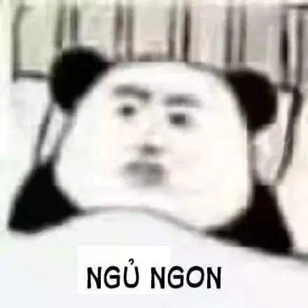 Meme ngủ ngon giúp bạn thư giãn hoàn toàn