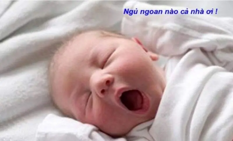 Meme ngủ ngon dễ thương và mang lại sự bình yên
