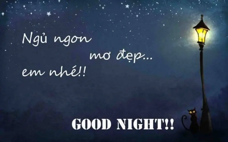 Meme ngủ ngon dễ thương và đáng yêu