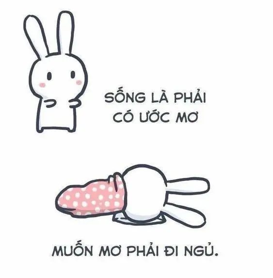 Meme ngủ ngon nhẹ nhàng và dễ thương
