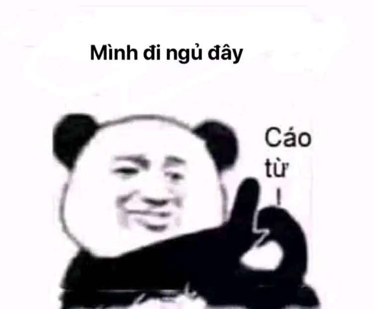 Meme ngủ ngon giúp bạn có giấc mơ đẹp