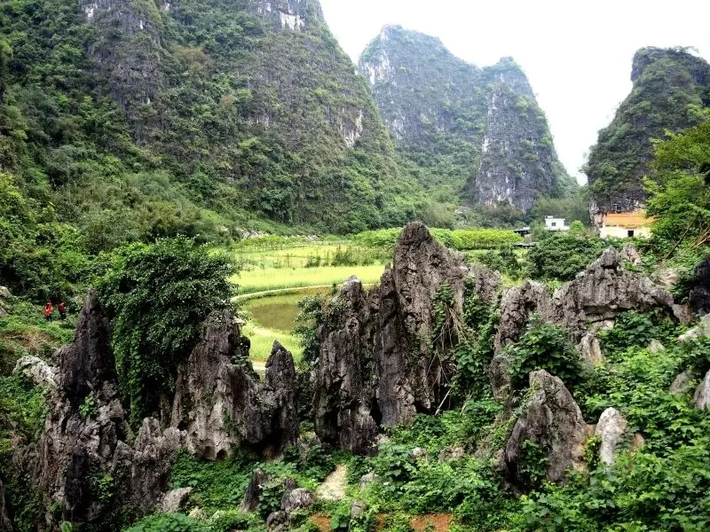 Phong cảnh đá vôi nổi bật với những dãy núi cao, bao la.