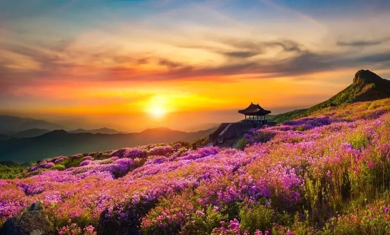 Vẻ đẹp quyến rũ của hoàng hôn, mặt trời lặn dịu nhẹ.