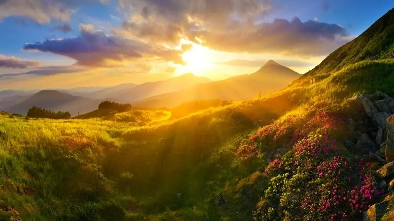 Ánh hoàng hôn lãng mạn, phong cảnh mặt trời lặn hùng vĩ.