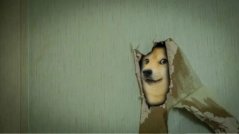 Hình nền cute meme với biểu cảm ngốc nghếch