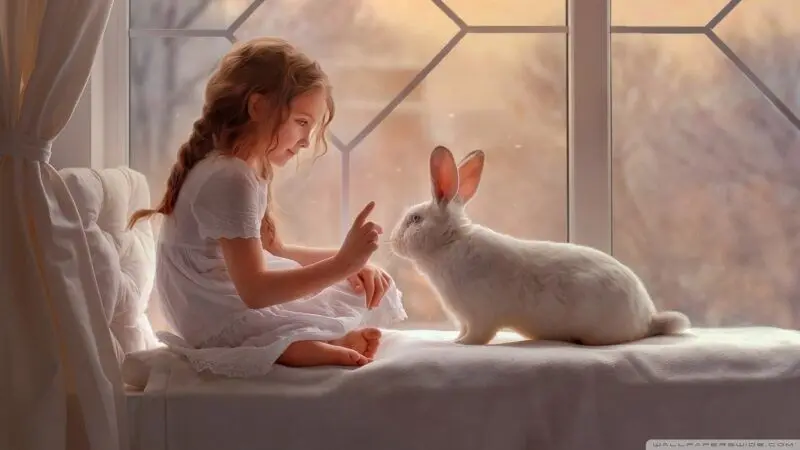 Hình nền động vật cute thỏ con vui đùa