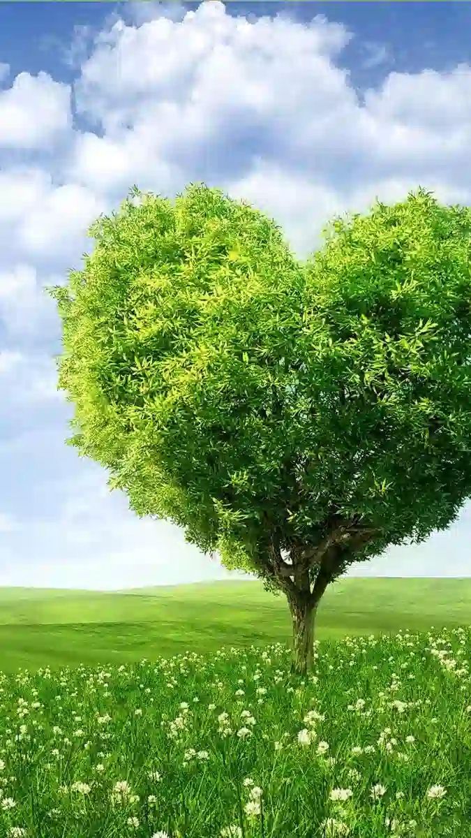 Hình nền thiên nhiên buổi sáng sớm yên bình
