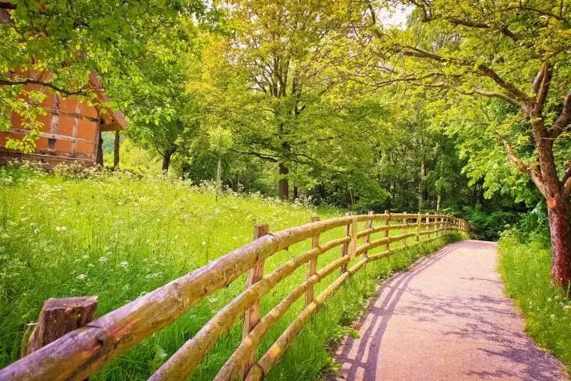 Phong cảnh con đường quê với những cánh đồng bát ngát, tạo nên không gian thư giãn. Phong cảnh con đường quê với những cánh đồng bát ngát, tạo nên không gian thư giãn.
