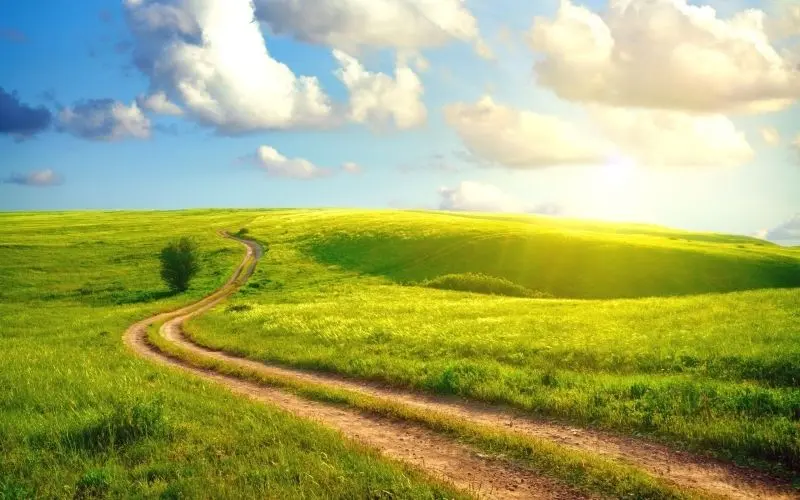 Ngắm nhìn thiên nhiên mùa hè tuyệt đẹp, mang lại cảm giác bình yên và tươi mát Ngắm nhìn thiên nhiên mùa hè tuyệt đẹp, mang lại cảm giác bình yên và tươi mát