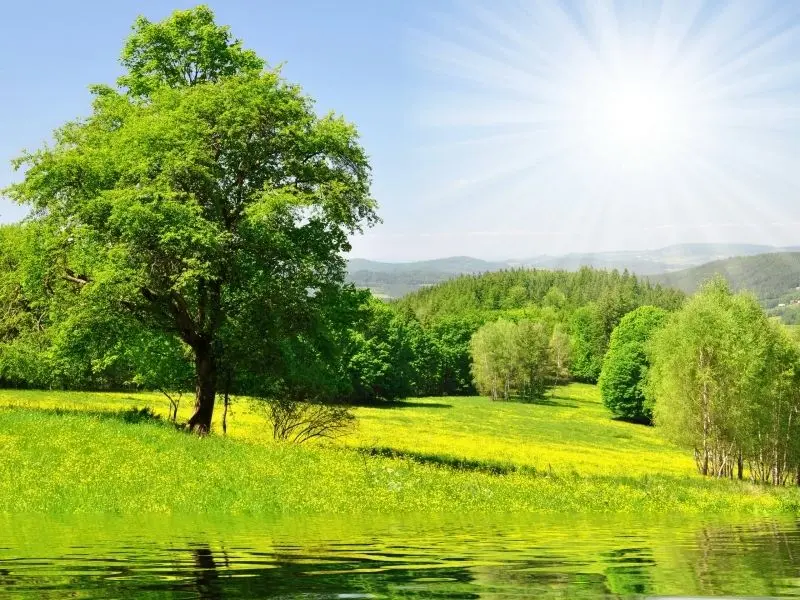 Cảnh đẹp mùa hè trong lành, nơi thư giãn hoàn hảo cho mọi kỳ nghỉ Cảnh đẹp mùa hè trong lành, nơi thư giãn hoàn hảo cho mọi kỳ nghỉ