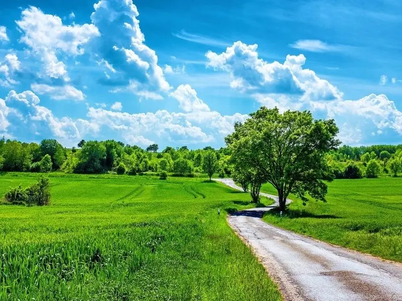 Phong cảnh mùa hè tươi đẹp, lý tưởng để tận hưởng không khí trong lành Phong cảnh mùa hè tươi đẹp, lý tưởng để tận hưởng không khí trong lành