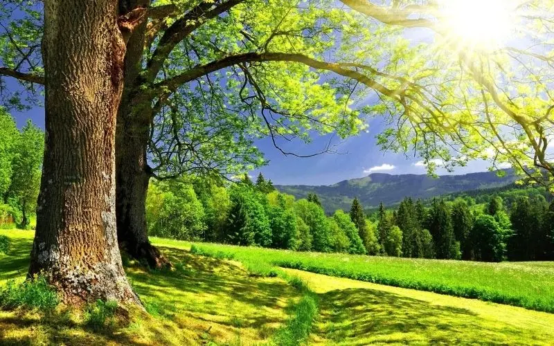 Phong cảnh đẹp mùa hè mênh mông, thích hợp cho các buổi dã ngoại Phong cảnh đẹp mùa hè mênh mông, thích hợp cho các buổi dã ngoại