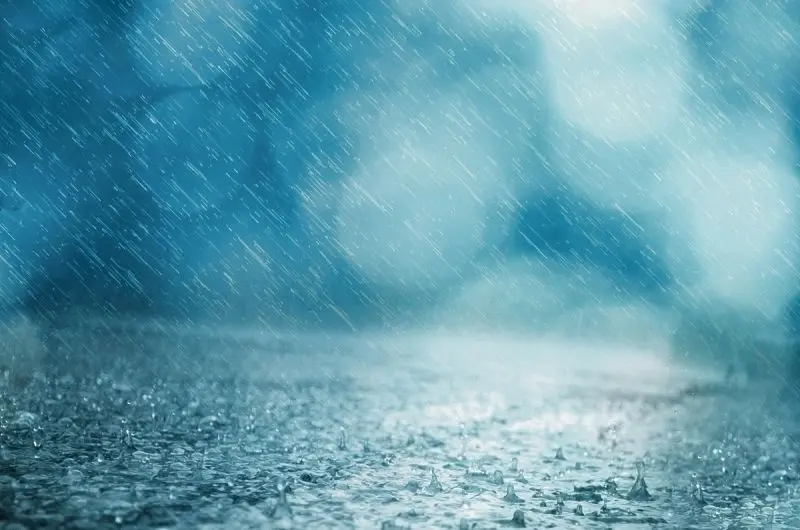 Mùa mưa lãng mạn, thiên nhiên dịu dàng và thơ mộng. Mùa mưa lãng mạn, thiên nhiên dịu dàng và thơ mộng.