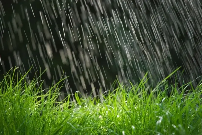 Thiên nhiên mùa mưa, cảnh sắc lãng mạn đầy cảm xúc. Thiên nhiên mùa mưa, cảnh sắc lãng mạn đầy cảm xúc.