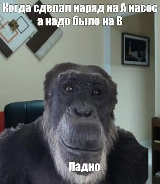 Meme khỉ gây sốt mạng xã hội
