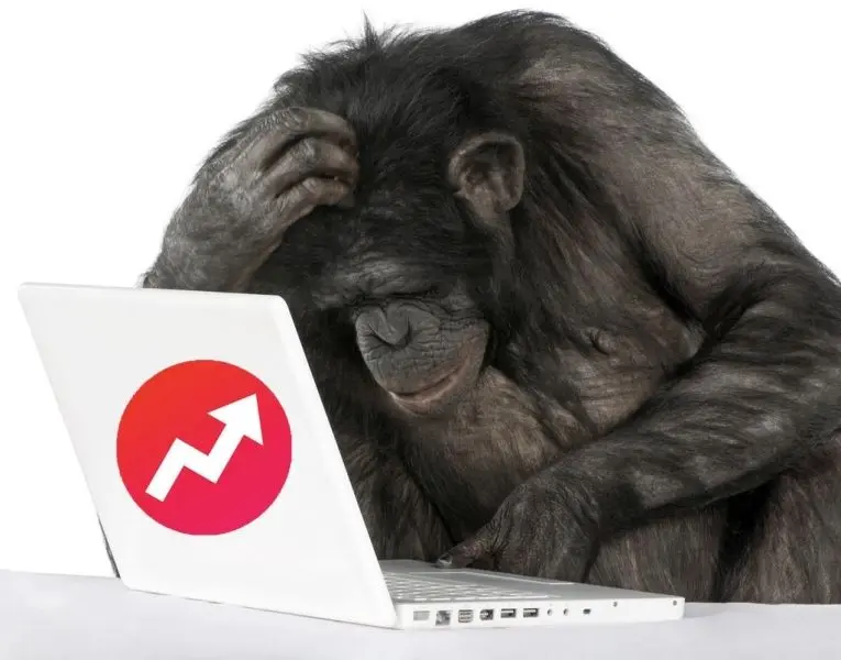 Meme khỉ với gương mặt ngạc nhiên