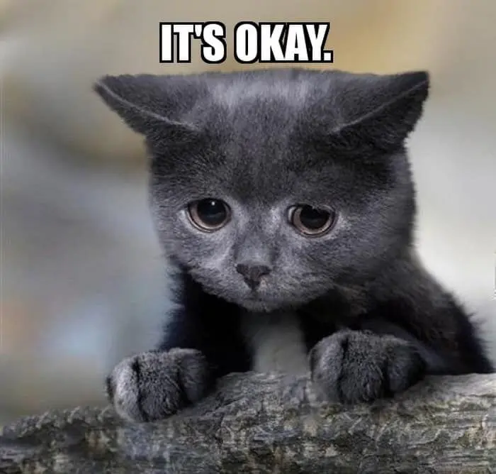 Meme ok đầy ngộ nghĩnh và hài hước