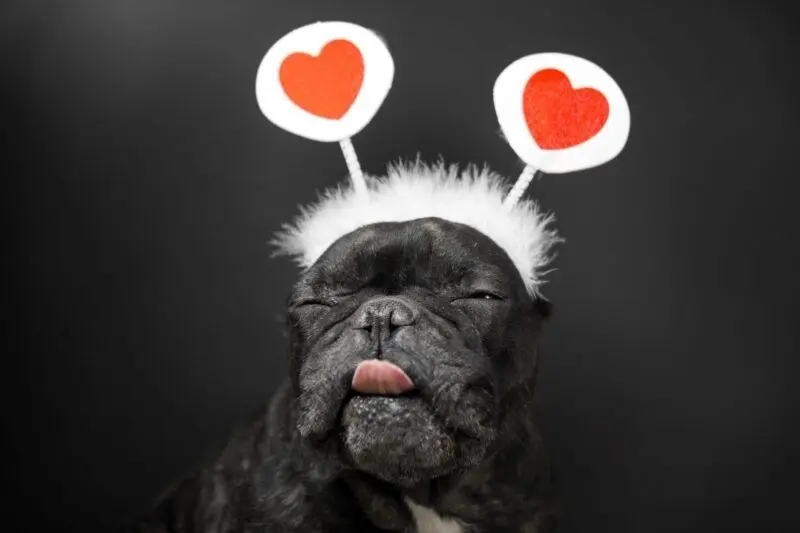 Meme trái tim với các biểu cảm ngộ nghĩnh