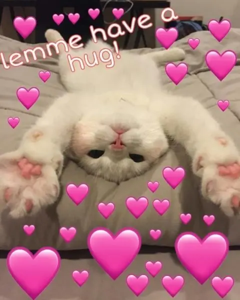 Meme trái tim với biểu cảm dễ thương