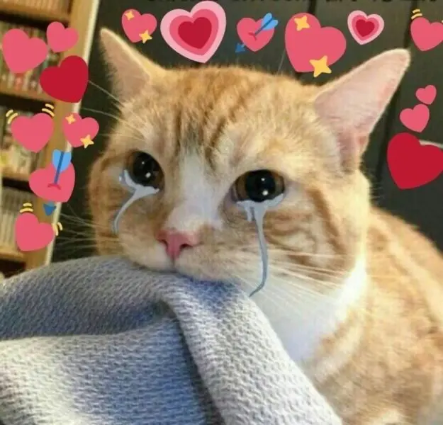 Meme trái tim với biểu cảm vui nhộn