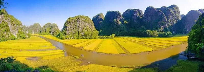 Phong cảnh cánh đồng tuyệt đẹp, được tô điểm bởi màu vàng của cánh đồng lúa chín. Phong cảnh cánh đồng tuyệt đẹp, được tô điểm bởi màu vàng của cánh đồng lúa chín.